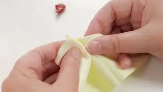 如何清潔 Silk | Signia 德國西嘉助聽器