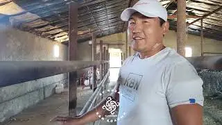 «Қазақ - жалқау халық емес»сериясынан 🔥