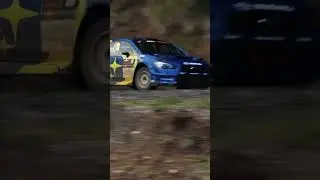 WRC Rally Beautiful Race
