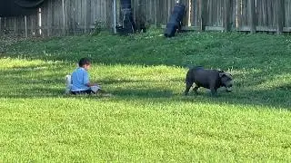 Mia Video 2
