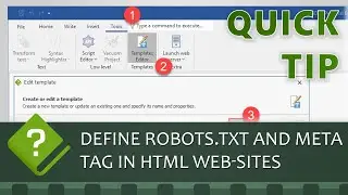 How to define robots.txt and Robots meta tags in the HTML documentation generated by HelpNDoc ?
