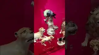 Мейсенский фарфор|Музей ч.1 #фарфоргермания #фарфор #мейсен