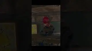 Get a room | STALKER 