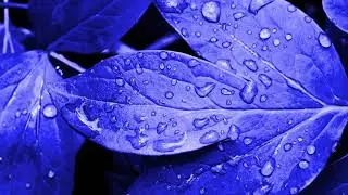 Dj Murphy - Hard Trance (Short Mix)