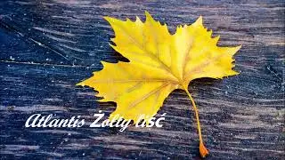 Atlantis - Żółty liść 🍂  cover