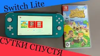 Nintendo Switch Lite - ВПЕЧАТЛЕНИЯ спустя сутки
