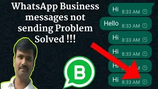 whatsapp business messages not sending
