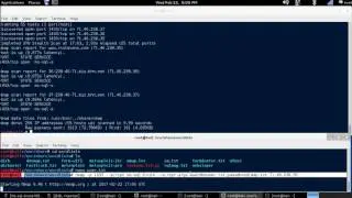 NMAP Tutorial - MySQL Brute Force NSE Script [Kali Linux]