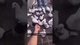 I have something for u | #memes