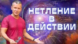 ГРОТ 7 СПЯЩИХ ЮНОШЕЙ - НЕТЛЕНИЕ В ДЕЙСТВИИ  @Nebesnayacivilizacia