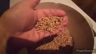 Ферментированное зерно. Легко и просто.