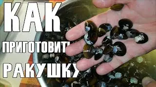 CORBICULA USEFUL SHELL | HOW TO COOK