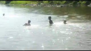 RAME RAME RENANG DISUNGAI