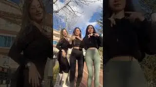 Türkish Girls Tiktok sexy video...