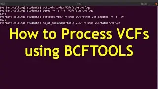 BCFTOOLS Tutorial for processing vcfs  - episode 1