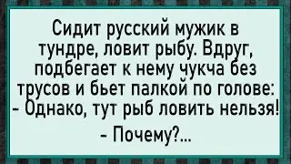 Непредвиденная рыбалка! Сборник свежих анекдотов! Юмор!