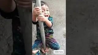 KOCAK❗❗❗VIRAL VIDEO LUCU #shorts #shortvideo #viralshorts #kocak #ngakak