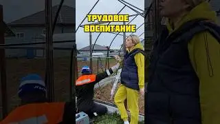 Трудовое воспитание 😅 