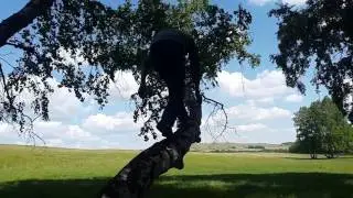 Сальто