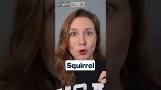 There was a SQUIRREL on the MOUNTAIN with a BUTTON