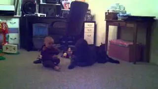 Mallory and the beast (beau)
