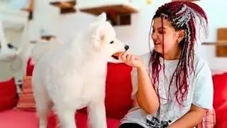“I Ate My Dog’s Favorite Snack in Front of Her… No Reaction?”