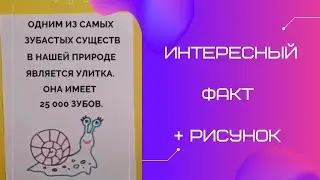 Интересный факт. Кто самый зубастый в природе