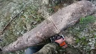 Крайний поход в избушку  #3 Дрова без приключений разве бывают