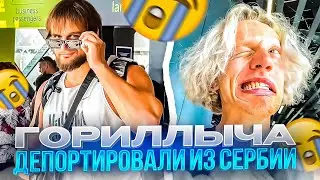 ДАНИЛУ ГОРИЛЛУ ДЕПОРТИРОВАЛИ ИЗ СЕРБИИ | ХАЗЯЕВА СЛУШАЮТ ТРЕКИ СКИЛЗОРА