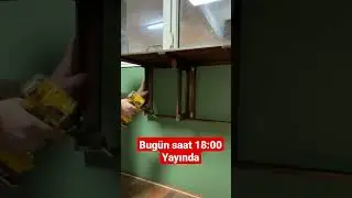 Katlanır duvar masası yapımı #wood #ağaç #woodworking #box #shorts
