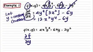 Partial derivative (bahasa)