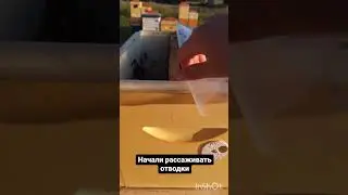 Отсаживаем отводки! @paseka_ermakovih 