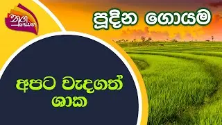 Nugasewana - Pudina Goyama | 2021-12-16 |Rupavahini