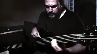 Buddy Walkin - Looking For You - Harley Benton B-650 Fretless BK Progressive