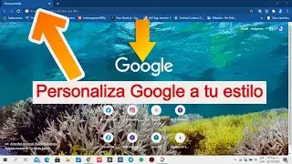 Como cambiar la foto de fondo de Google y los colores 2020 [Como personalizar Google Fácil y rápido]