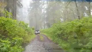 Двое в Орегоне