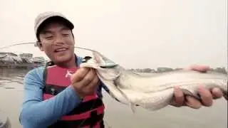 7Seas Present Halcyon Getcyu (JDM) Fishing Lure [Ep1]