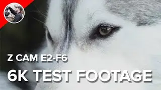 Z CAM E2-F6 6K Resolution Z-Log2 Test Footage