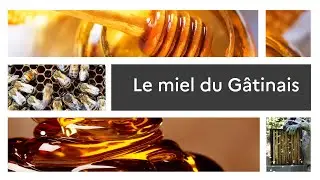 Un produit, un territoire : Le miel du Gâtinais