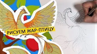КАК НАРИСОВАТЬ ЖАР-ПТИЦУ, по схеме