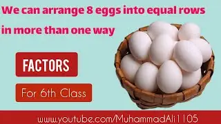 We can arrange 8 eggs into equal row in more than one way