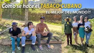 CÓMO SE HACE EL TABACO EN CUBA || TUTORIAL @monicamolto8986 🇨🇺❤️