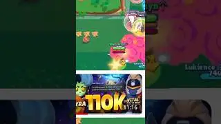 Hyra и Vital Shark планируют апнуть 110 тысяч кубков 🏆 | BRAWL START 