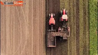 Уборка сахарной свеклы в Алтайском крае.