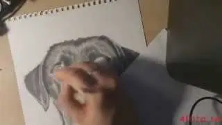 Alvar Time-lapse Drawing (4fota)