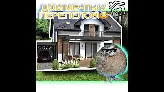 Дом мечты у перепелок!