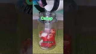 ЛАЙФХАК. КАК СОХРАНИТЬ ВКУС И ПОЛЬЗУ ОСТРОГО ПЕРЦА