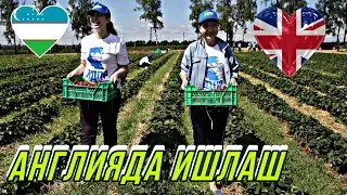 АНГЛИЯДА МАФСУМИЙ ИШ