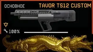 Новый дробовик на медика Tavor TS12 Custom