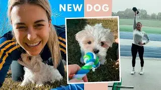Week in the life vlog | Never been so happy...